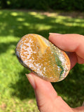 Ocean Jasper Mini Palm