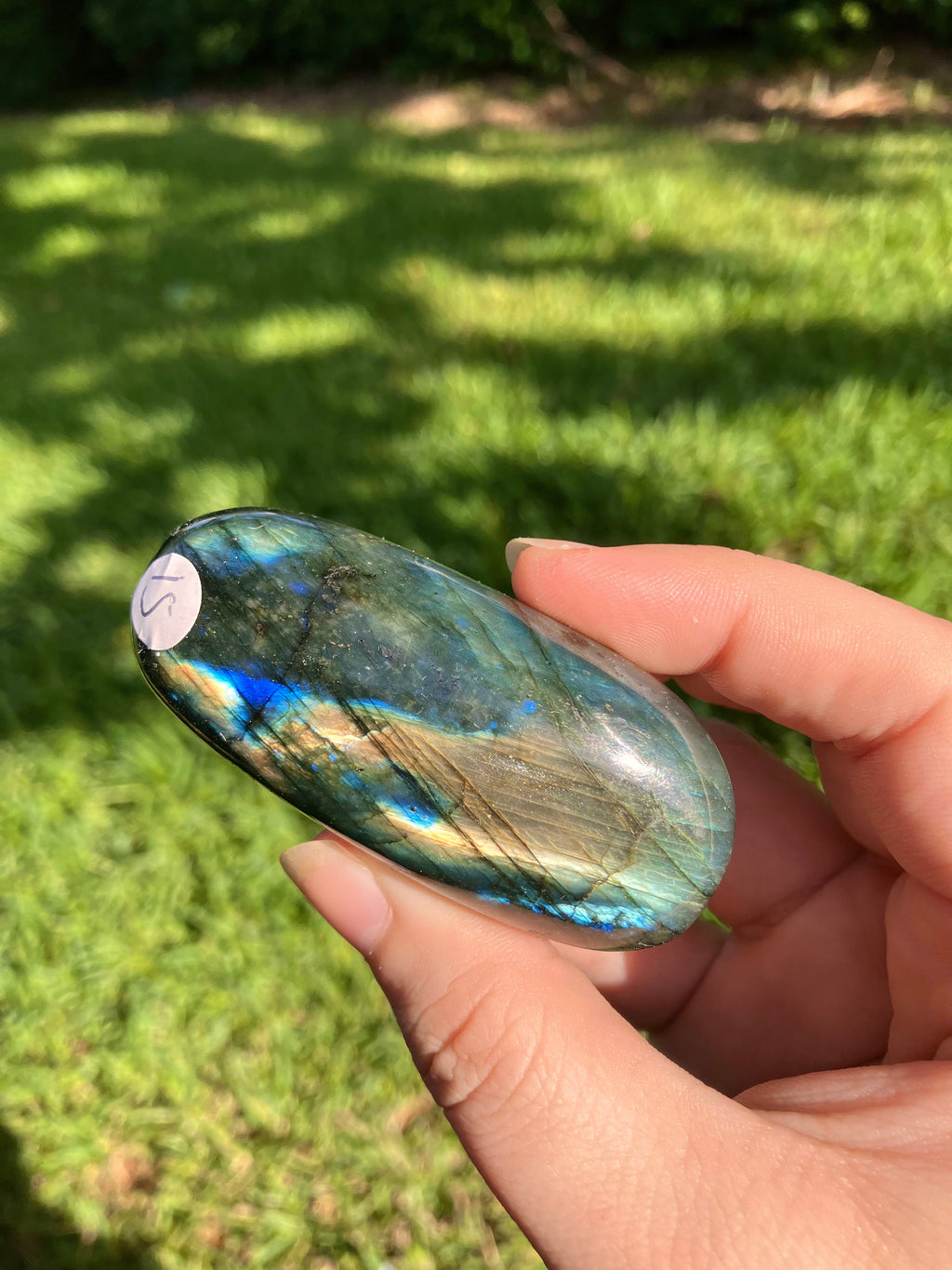 Labradorite Palm Stone