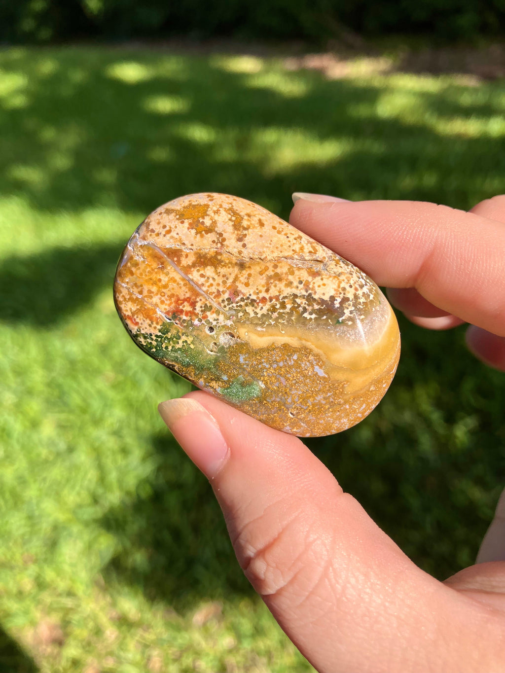 Ocean Jasper Mini Palm