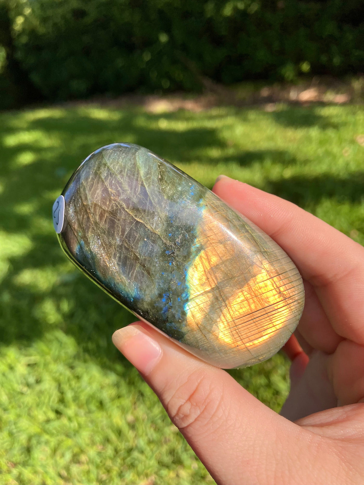 Labradorite Palm Stone